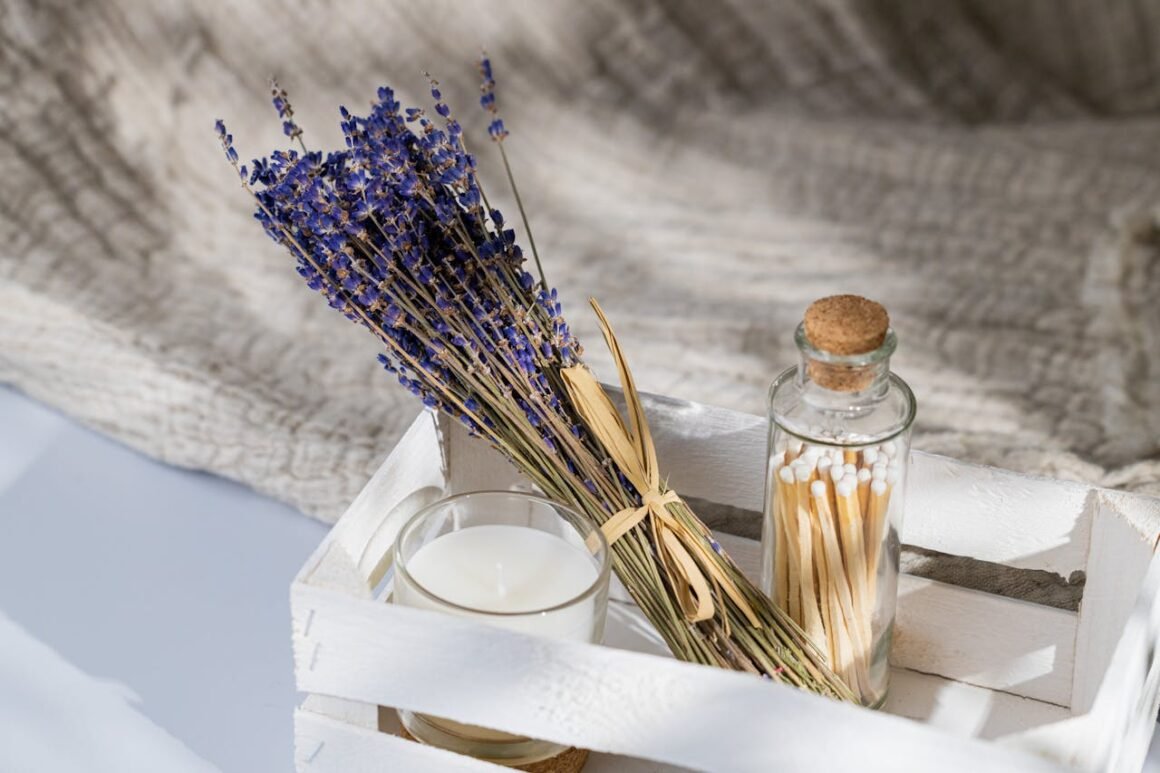 pexels-andrzej-gdula-177638374-11562449